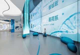 昌吉专业进口木箱哪个厂家好