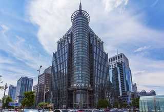 上海会议室绿植花卉租赁便宜吗